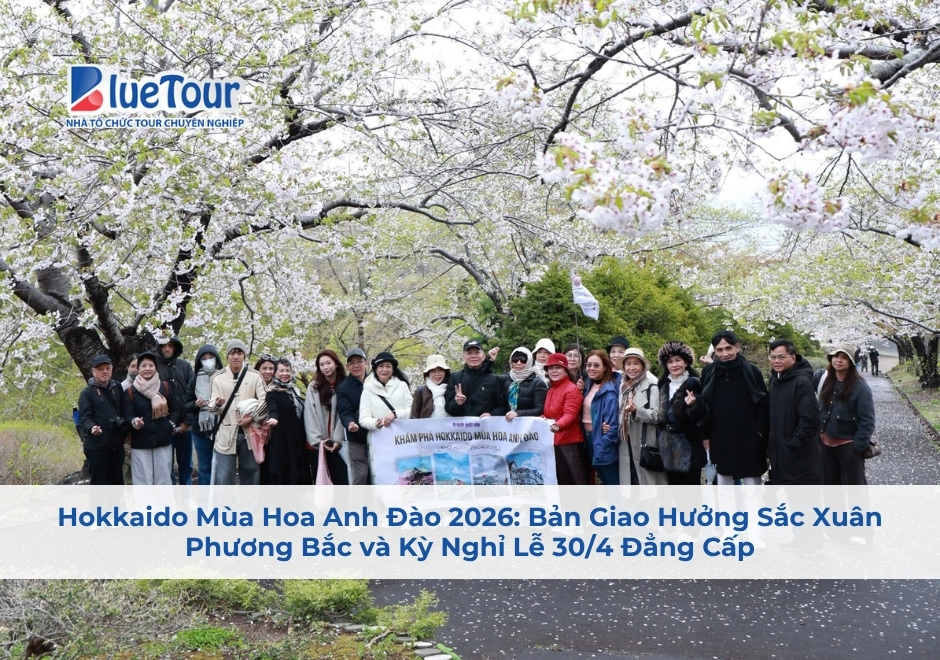 Hokkaido Mùa Hoa Anh Đào 2026: Bản Giao Hưởng Sắc Xuân Phương Bắc và Kỳ Nghỉ Lễ 30/4 Đẳng Cấp