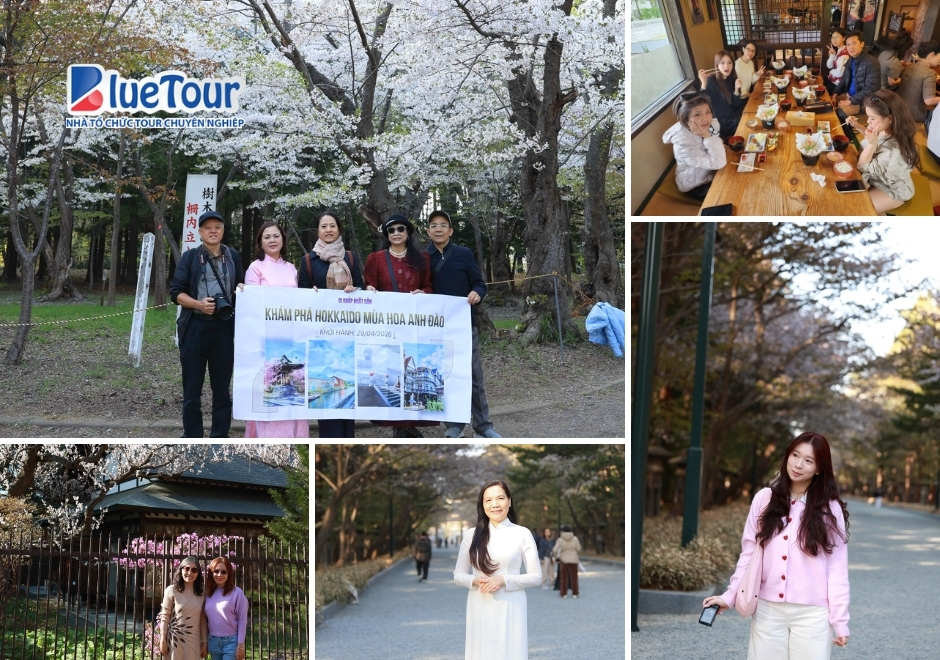 Hokkaido Mùa Hoa Anh Đào 2026: Bản Giao Hưởng Sắc Xuân Phương Bắc và Kỳ Nghỉ Lễ 30/4 Đẳng Cấp