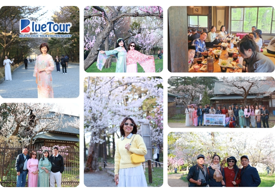 Hokkaido Mùa Hoa Anh Đào 2026: Bản Giao Hưởng Sắc Xuân Phương Bắc và Kỳ Nghỉ Lễ 30/4 Đẳng Cấp