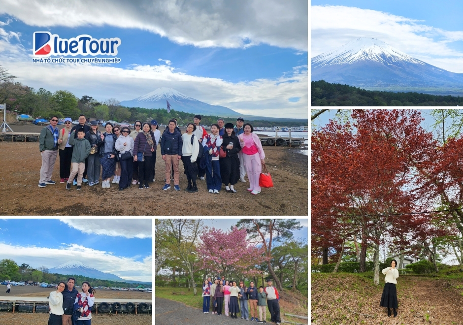 Hokkaido Mùa Hoa Anh Đào 2026: Bản Giao Hưởng Sắc Xuân Phương Bắc và Kỳ Nghỉ Lễ 30/4 Đẳng Cấp