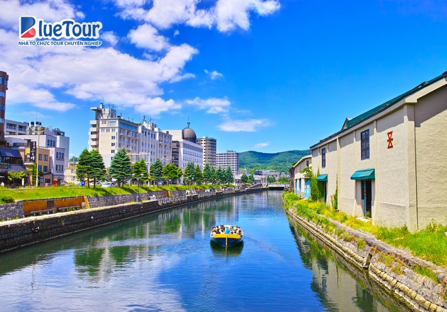 KHÁM PHÁ HOKKAIDO MÙA HÈ 2026