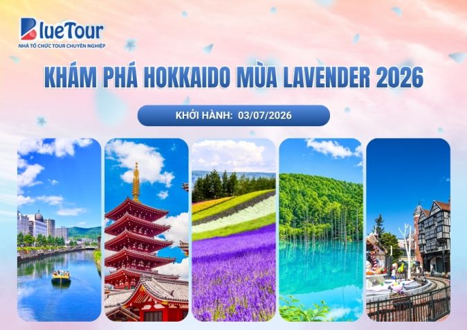 KHÁM PHÁ HOKKAIDO MÙA LAVENDER 2026