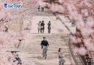 SEOUL - ĐÓN HÈ 2026 SÔI ĐỘNG