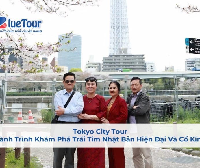 Tokyo City Tour: Hành Trình Khám Phá Trái Tim Nhật Bản Hiện Đại Và Cổ Kính