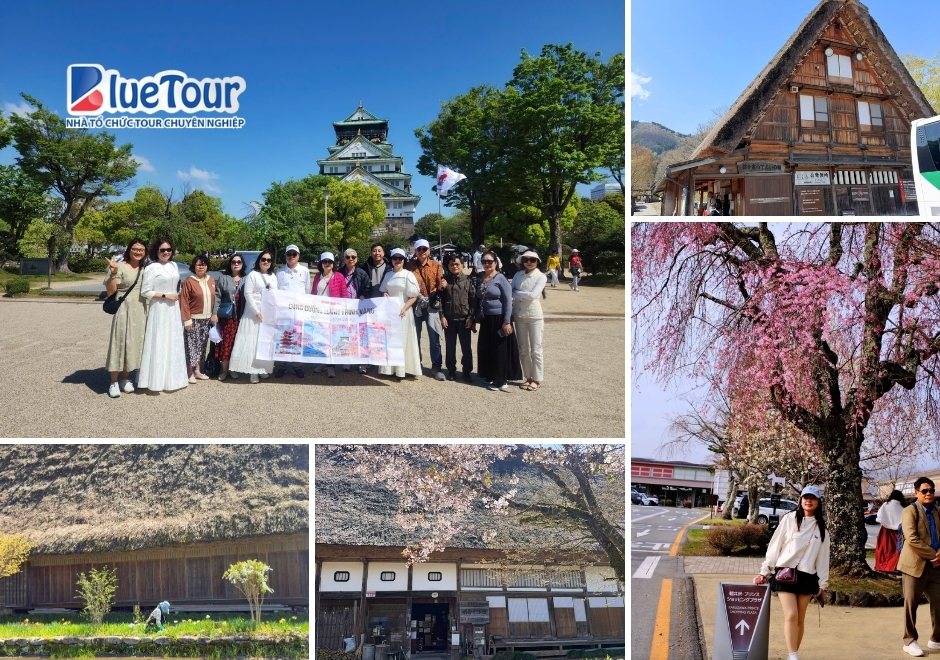 Tour Nhật Bản Mùa Hoa Anh Đào 2026: Bản Giao Hưởng Sắc Hồng Giữa Miền Di Sản