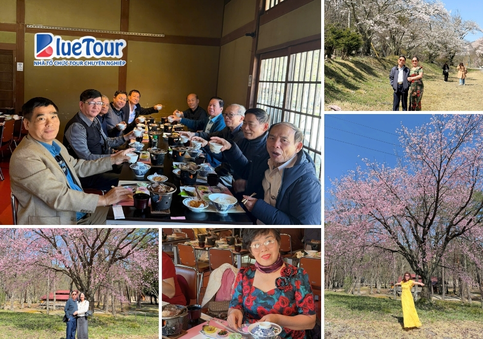 Tour Nhật Bản Mùa Hoa Anh Đào 2026: Bản Giao Hưởng Sắc Hồng Giữa Miền Di Sản