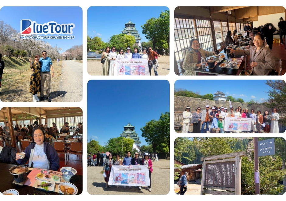 Tour Nhật Bản Mùa Hoa Anh Đào 2026: Bản Giao Hưởng Sắc Hồng Giữa Miền Di Sản