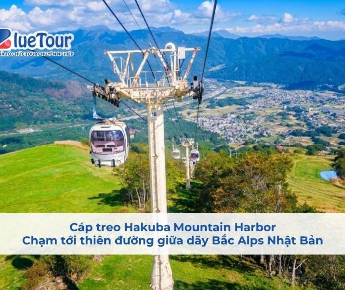 Cáp Treo Hakuba Mountain Harbor: Chạm Tới Thiên Đường Giữa Dãy Bắc Alps Nhật Bản
