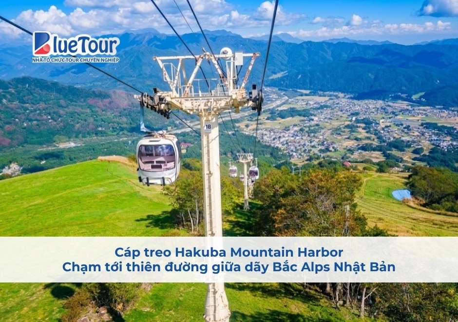 Cáp Treo Hakuba Mountain Harbor: Chạm Tới Thiên Đường Giữa Dãy Bắc Alps Nhật Bản