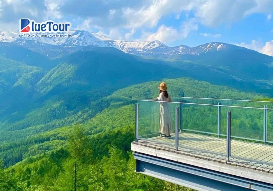 Cáp Treo Hakuba Mountain Harbor: Chạm Tới Thiên Đường Giữa Dãy Bắc Alps Nhật Bản