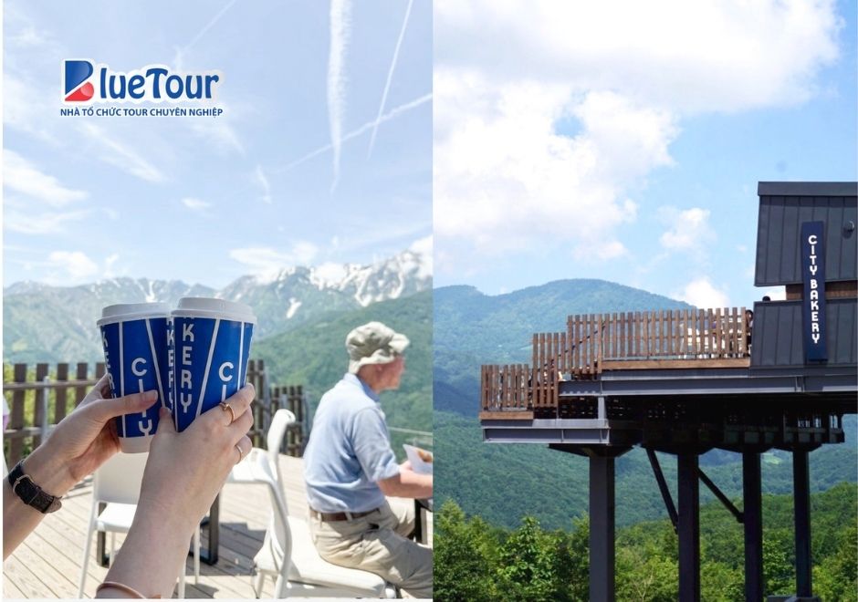 Cáp Treo Hakuba Mountain Harbor: Chạm Tới Thiên Đường Giữa Dãy Bắc Alps Nhật Bản
