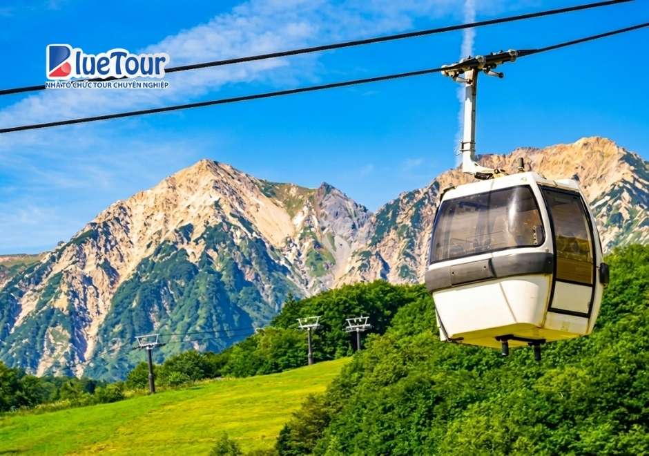 Cáp Treo Hakuba Mountain Harbor: Chạm Tới Thiên Đường Giữa Dãy Bắc Alps Nhật Bản