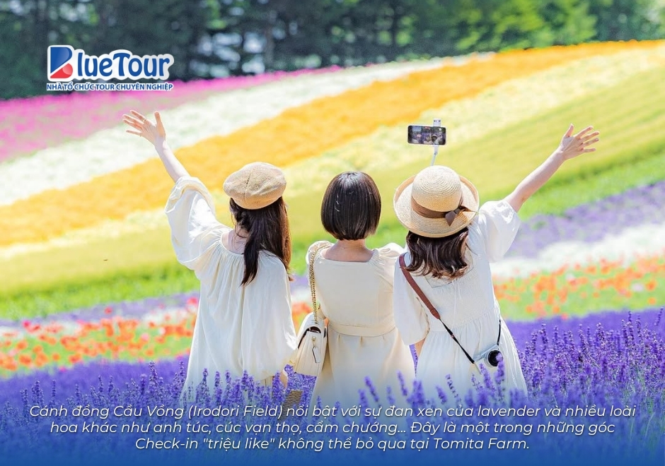 Chiêm Ngưỡng Sắc Tím Say Đắm Của Hoa Lavender Nông Trường Tomita Hokkaido