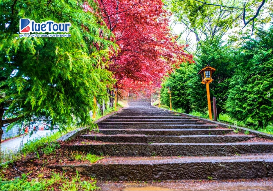 Chùa Chureito Nhật Bản: Điểm Ngắm Núi Phú Sĩ Đẹp Nhất Xứ Phù Tang