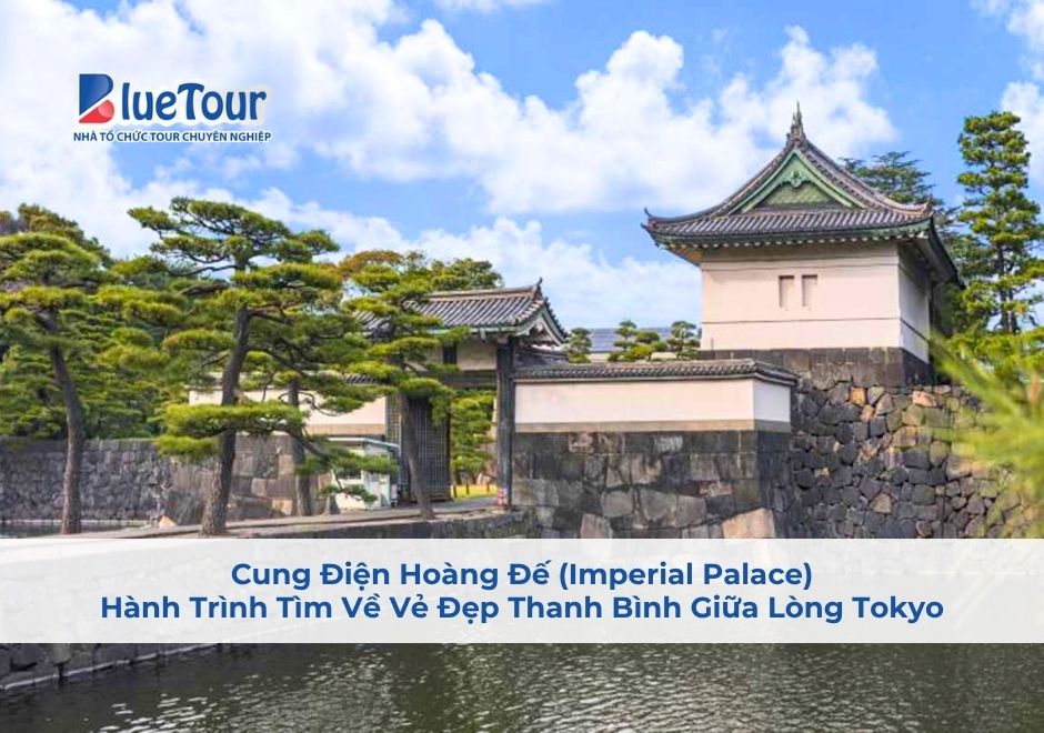 Cung Điện Hoàng Đế (Imperial Palace): Hành Trình Tìm Về Vẻ Đẹp Thanh Bình Giữa Lòng Tokyo