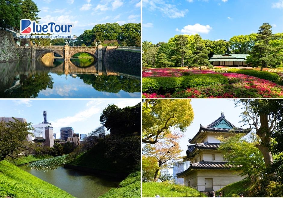 Cung Điện Hoàng Đế (Imperial Palace): Hành Trình Tìm Về Vẻ Đẹp Thanh Bình Giữa Lòng Tokyo