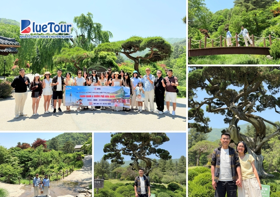 Cuốn Sổ Tay Lưu Trữ Ký Ức: Hành Trình Thưởng Ngoạn Mùa Hè Hàn Quốc Tinh Tế Và Trọn Vẹn