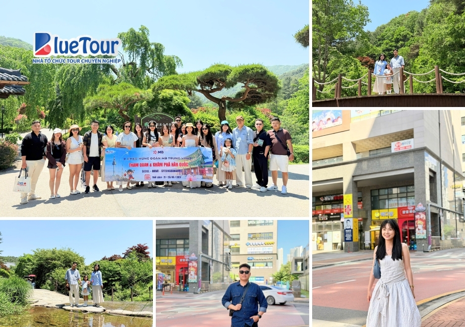 Cuốn Sổ Tay Lưu Trữ Ký Ức: Hành Trình Thưởng Ngoạn Mùa Hè Hàn Quốc Tinh Tế Và Trọn Vẹn