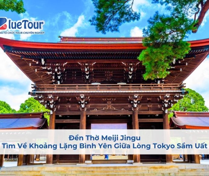 Đền Thờ Meiji Jingu: Tìm Về Khoảng Lặng Bình Yên Giữa Lòng Tokyo Sầm Uất