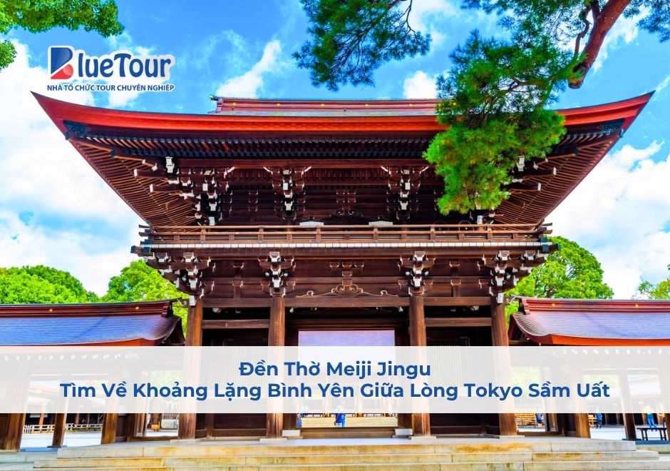 Đền Thờ Meiji Jingu: Tìm Về Khoảng Lặng Bình Yên Giữa Lòng Tokyo Sầm Uất