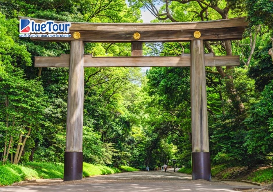 Đền Thờ Meiji Jingu: Tìm Về Khoảng Lặng Bình Yên Giữa Lòng Tokyo Sầm Uất