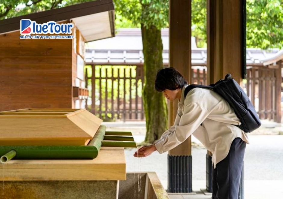 Đền Thờ Meiji Jingu: Tìm Về Khoảng Lặng Bình Yên Giữa Lòng Tokyo Sầm Uất