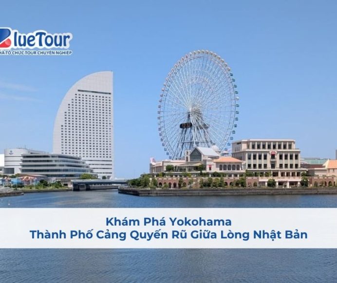 Khám Phá Yokohama: Thành Phố Cảng Quyến Rũ Giữa Lòng Nhật Bản
