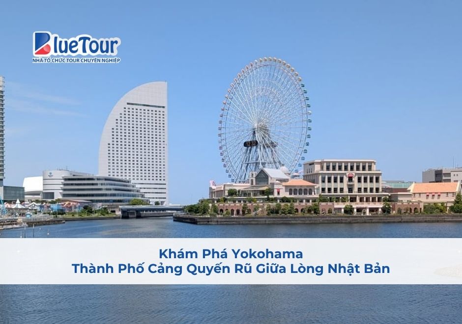 Khám Phá Yokohama: Thành Phố Cảng Quyến Rũ Giữa Lòng Nhật Bản