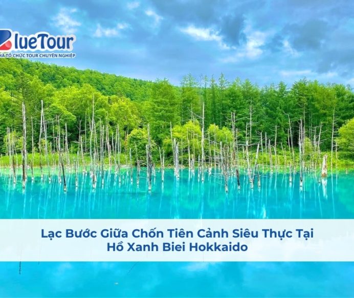 Lạc Bước Giữa Chốn Tiên Cảnh Siêu Thực Tại Hồ Xanh Biei Hokkaido