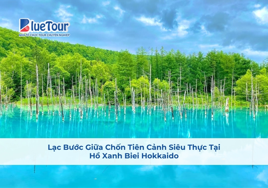 Lạc Bước Giữa Chốn Tiên Cảnh Siêu Thực Tại Hồ Xanh Biei Hokkaido