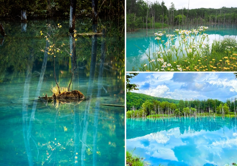 Lạc Bước Giữa Chốn Tiên Cảnh Siêu Thực Tại Hồ Xanh Biei Hokkaido