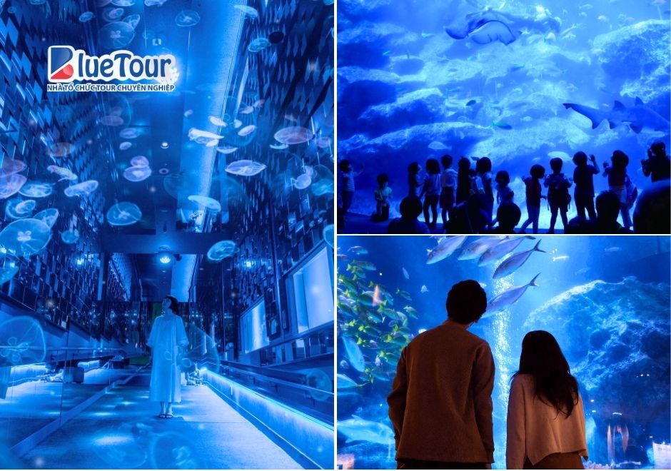 Tháp Tokyo Skytree: Kiệt Tác Kiến Trúc Chạm Tầng Mây Của Xứ Sở Phù Tang