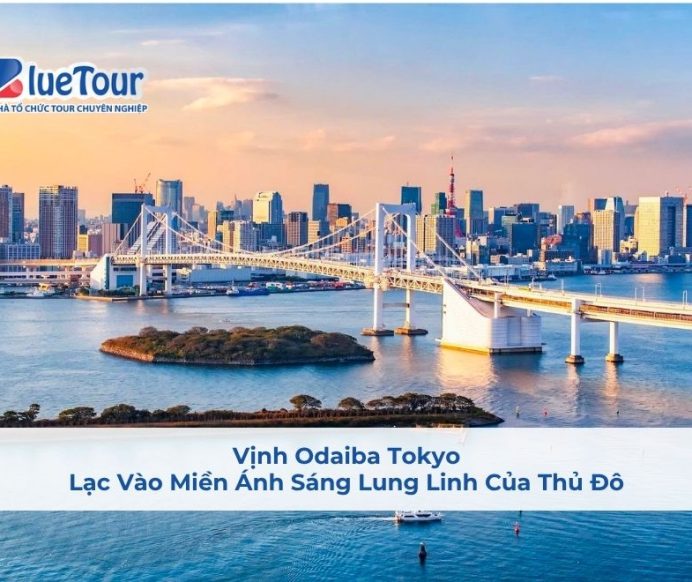 Vịnh Odaiba Tokyo: Lạc Vào Miền Ánh Sáng Lung Linh Của Thủ Đô