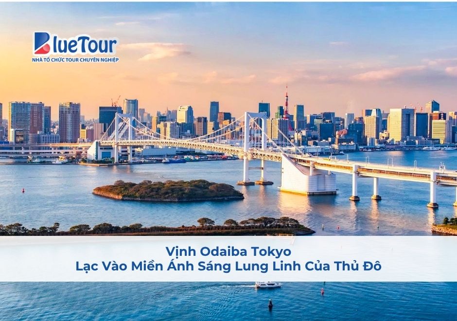 Vịnh Odaiba Tokyo: Lạc Vào Miền Ánh Sáng Lung Linh Của Thủ Đô