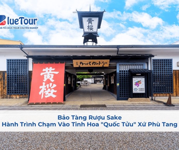 Bảo Tàng Rượu Sake: Hành Trình Chạm Vào Tinh Hoa "Quốc Tửu" Xứ Phù Tang