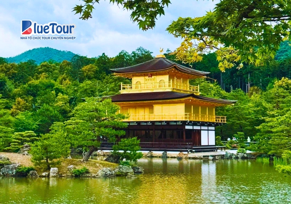 Chùa Vàng Kinkakuji: Tuyệt Tác Dát Vàng Lấp Lánh Giữa Lòng Cố Đô Kyoto