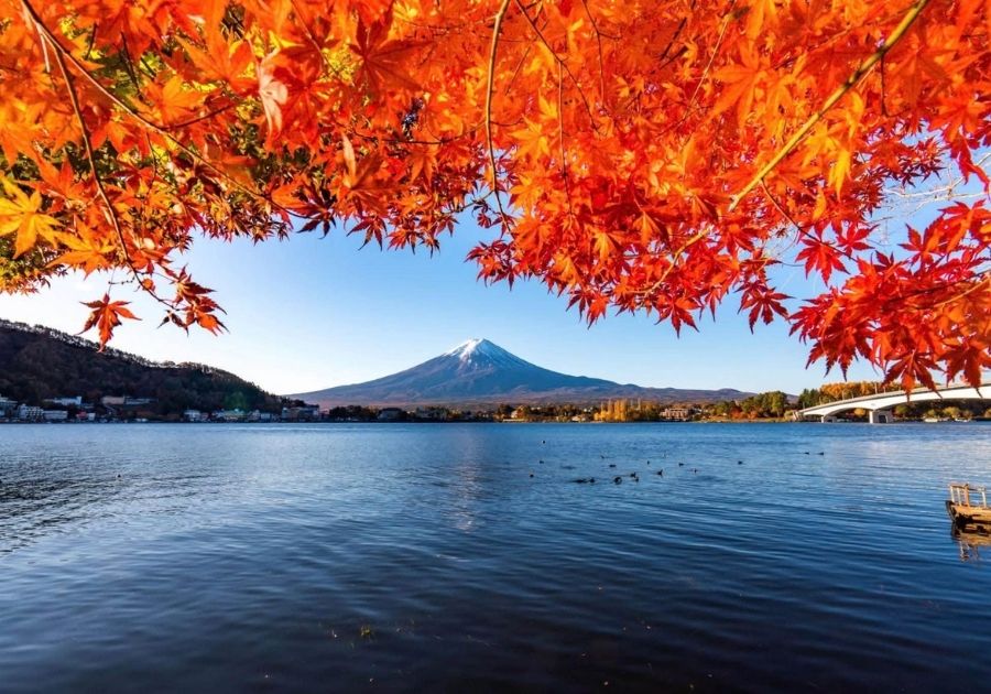 CUNG ĐƯỜNG TOKYO - NÚI PHÚ SĨ - KAMAKURA
