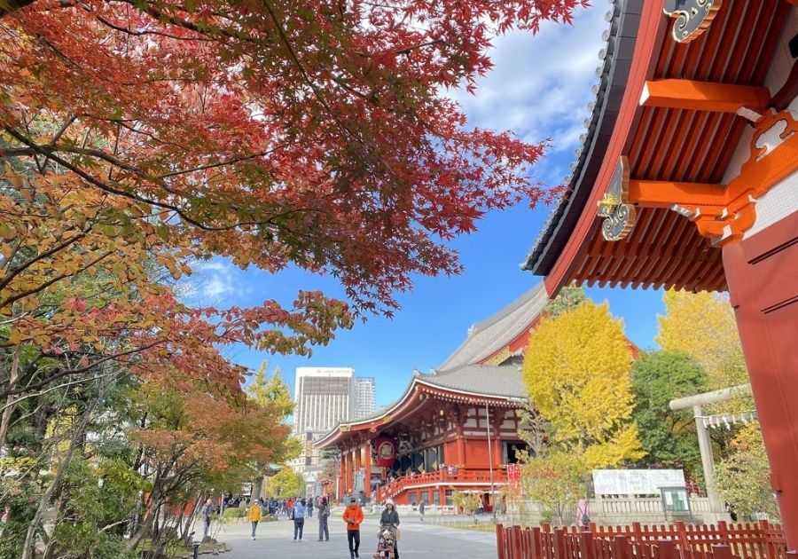 CUNG ĐƯỜNG TOKYO - NÚI PHÚ SĨ - KAMAKURA