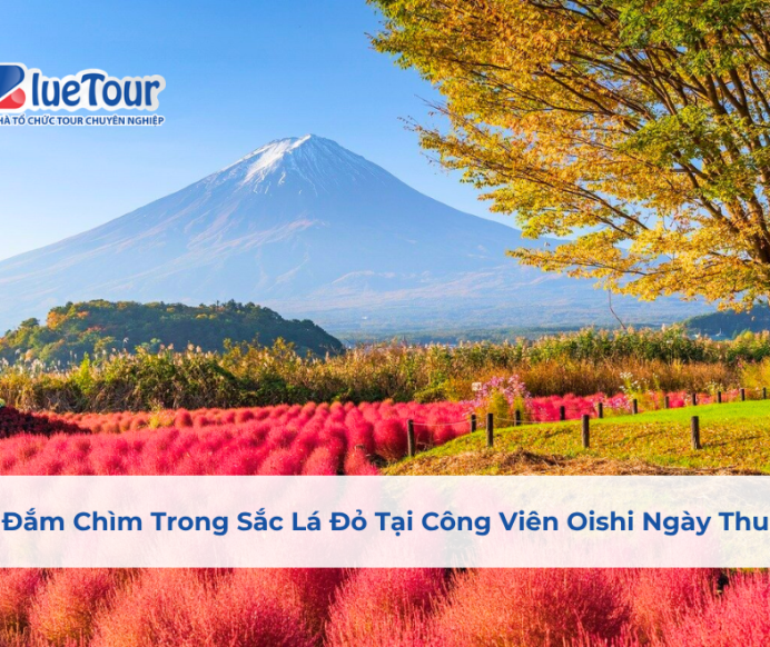 Đắm Chìm Trong Sắc Lá Đỏ Tại Công Viên Oishi Ngày Thu