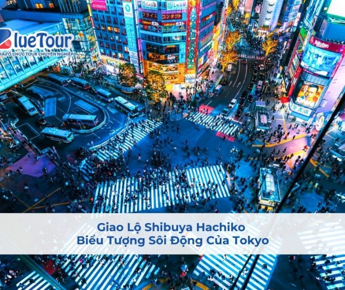 Giao Lộ Shibuya Hachiko - Biểu Tượng Sôi Động Của Tokyo