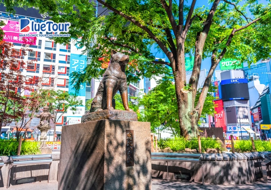 Giao Lộ Shibuya Hachiko - Biểu Tượng Sôi Động Của Tokyo