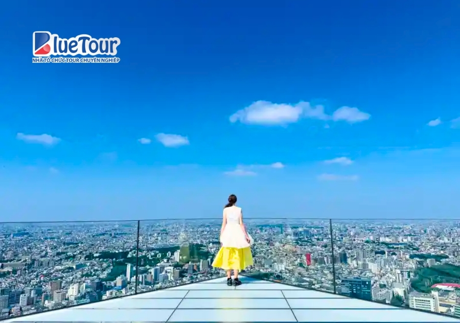 Giao Lộ Shibuya Hachiko - Biểu Tượng Sôi Động Của Tokyo
