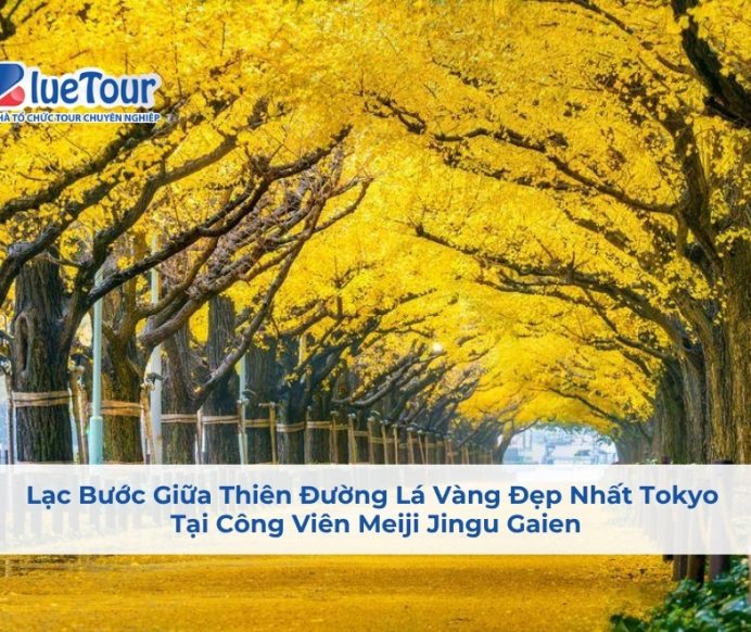Lạc Bước Giữa Thiên Đường Lá Vàng Tại Công Viên Meiji Jingu Gaien