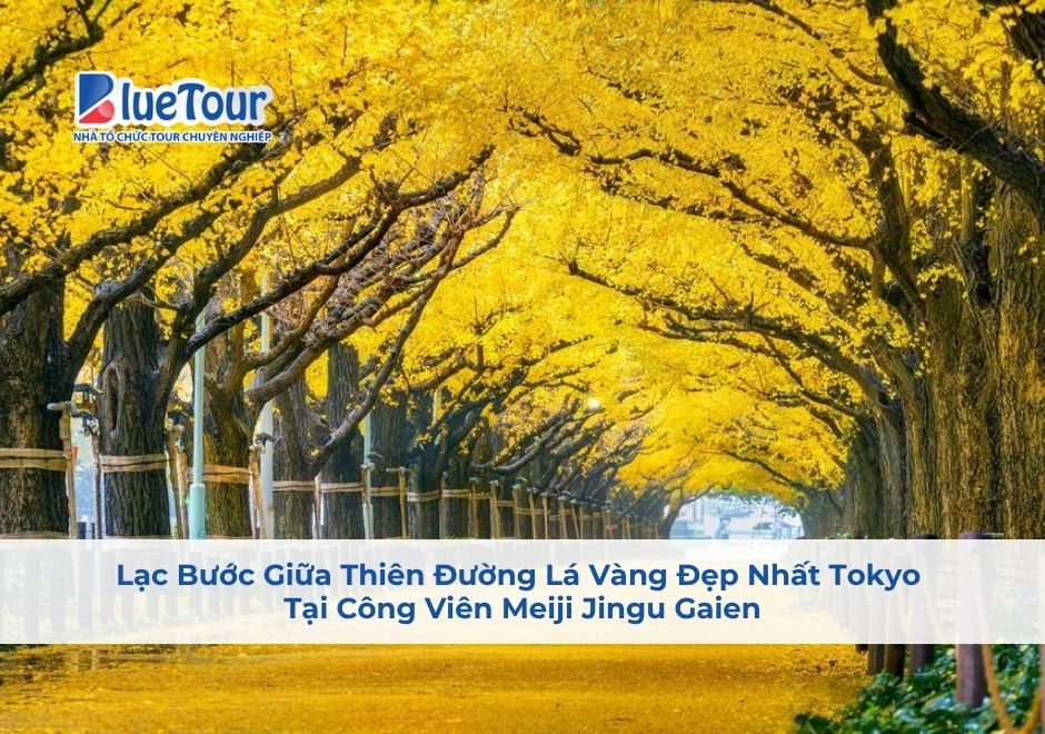 Lạc Bước Giữa Thiên Đường Lá Vàng Tại Công Viên Meiji Jingu Gaien