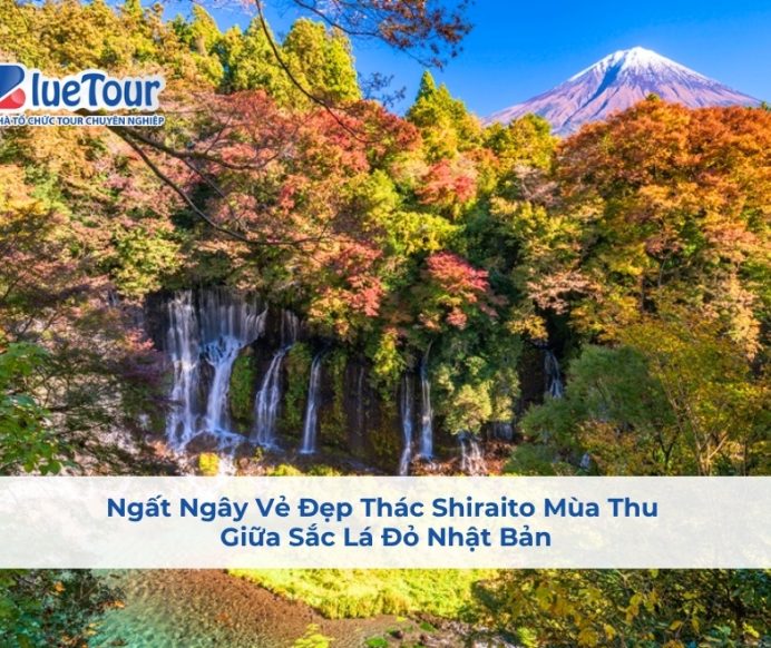 Ngất Ngây Vẻ Đẹp Thác Shiraito Mùa Thu Giữa Sắc Lá Đỏ Nhật Bản