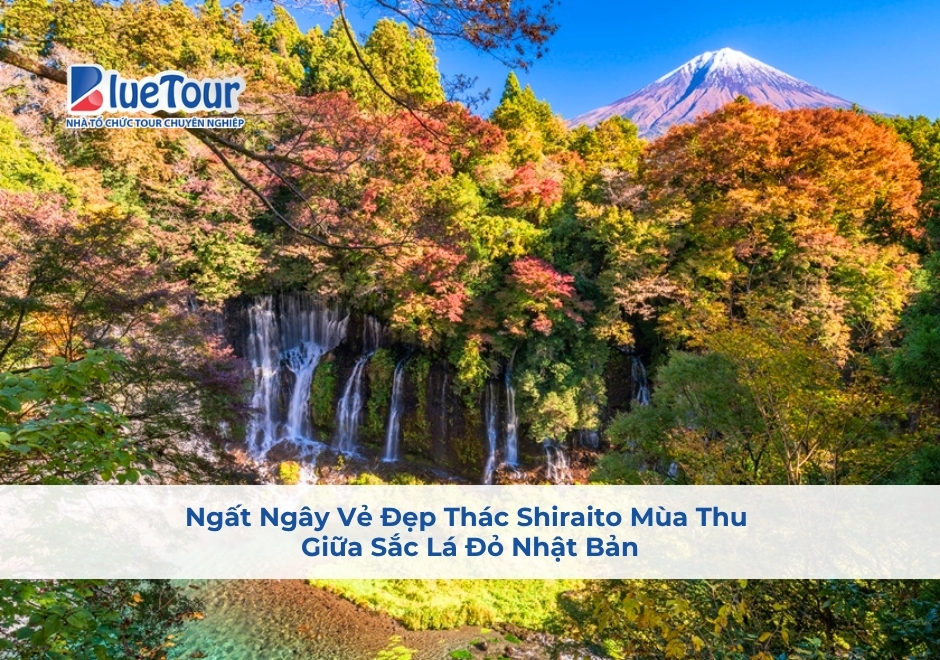 Ngất Ngây Vẻ Đẹp Thác Shiraito Mùa Thu Giữa Sắc Lá Đỏ Nhật Bản