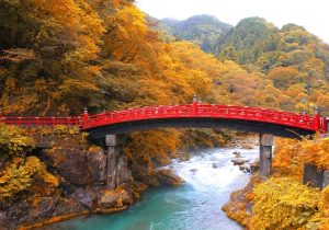 TOUR CAO CẤP: TOKYO - NIKKO - ENOSHIMA - PHÚ SĨ