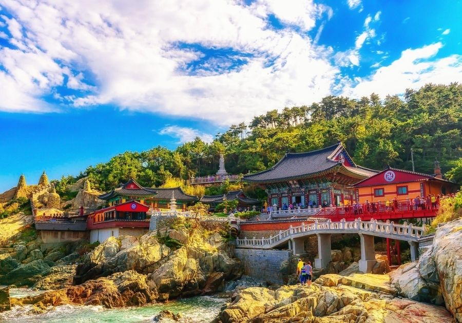 BUSAN - CÓ SHOP MÙA LÁ VÀNG