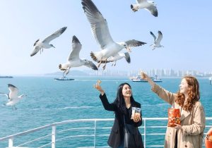 BUSAN - CÓ SHOP MÙA LÁ VÀNG