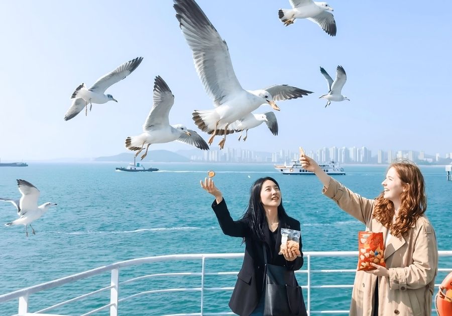 BUSAN - CÓ SHOP MÙA LÁ VÀNG